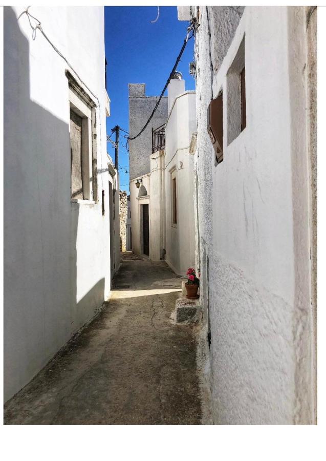 Partarolos Traditional House Aperathos Экстерьер фото